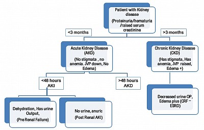 A dicotomous picture of Kidney diseases