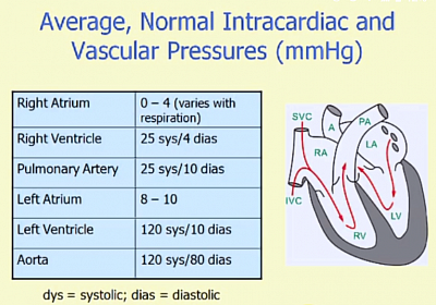 Blood pressures