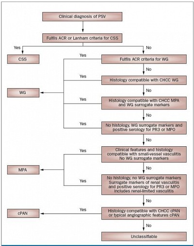 Combined ACR & CHCC algorithm for AAV classification