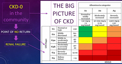 Stages of chronic kidney disease.