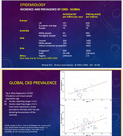 Incidence of Chronic Kidney Disease by population fraction. Global CKD incidence by age groip. .