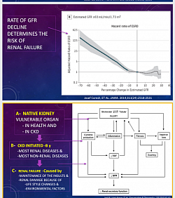 Decline of eGFR, and incidence of ESRD. The rapid decline from any kidney injury, leads to early ESRD. lnjuries affect each renal components in a vicious cycle hastening renal death.