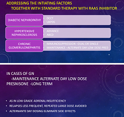 Addressing the Intiating Factors. Together with standard therapy with RAAS inhibitors. In cases of GN. Maintenance of low dose immunosuppressive, as prescribed, in long term basis.