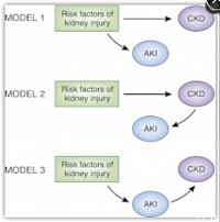 Acute Kidney Injury on existing CKD, causes faster progression to ESRD