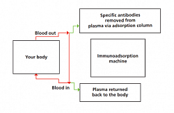 Immunoadsorption is an extracorporeal technique used for the removal of antibodies and molecules from the blood. A large number of different adsorbents are now available allowing for the non-selective removal of all subclasses of immunoglobulins such as IgG.