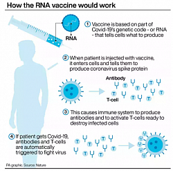 Pfizer & Moderna vac: It is an RNA vaccine composed of nucleoside-modified mRNA (modRNA) encoding a mutated form of the spike protein of SARS-CoV-2, which is encapsulated in lipid nanoparticles. The vaccination requires two doses given three weeks apart. The particle fuses with cells and with cellular protein synthesis to produce the spike protein. This spike proteins induces antibody production by T lymphocytes against the corona virus spike protein to provide the immunity.