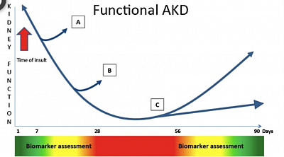 Phases of AKD following AKI