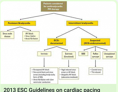 Studies on Cardiac EP